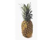 The Pineapple!