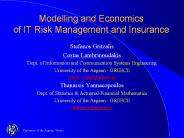 Modelling and Economics of IT Risk Management and Insurance