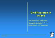 Grid Research in Ireland