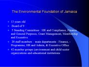 The Environmental Foundation of Jamaica