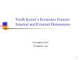 North Koreas Economic Futures: Internal and External Dimensions PowerPoint PPT Presentation