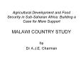 Agricultural Development and Food Security in SubSaharan Africa: Building a Case for More Support MA PowerPoint PPT Presentation