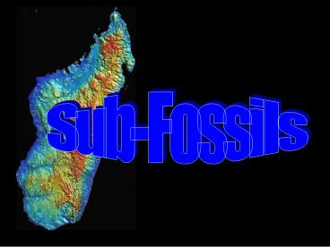 In the late 19th century, the 1800s, in the