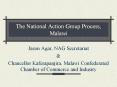 The National Action Group Process, Malawi PowerPoint PPT Presentation