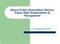 Malawi Public Expenditure Review: Public Debt Sustainability PowerPoint PPT Presentation