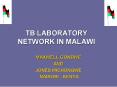 TB LABORATORY NETWORK IN MALAWI PowerPoint PPT Presentation