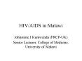 HIVAIDS in Malawi PowerPoint PPT Presentation