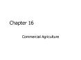 Commercial Agriculture PowerPoint PPT Presentation