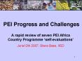 PEI Progress and Challenges PowerPoint PPT Presentation