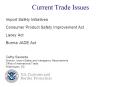 Current Trade Issues PowerPoint PPT Presentation