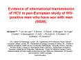 Evidence of international transmission of HCV in panEuropean study of HIVpositive men who have sex w PowerPoint PPT Presentation