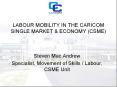 LABOUR MOBILITY IN THE CARICOM SINGLE MARKET PowerPoint PPT Presentation