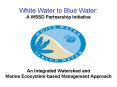 White Water to Blue Water: A WSSD Partnership Initiative PowerPoint PPT Presentation