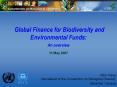 Global Finance for Biodiversity and Environmental Funds: An overview 11 May 2007 PowerPoint PPT Presentation