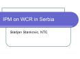 IPM on WCR in Serbia PowerPoint PPT Presentation