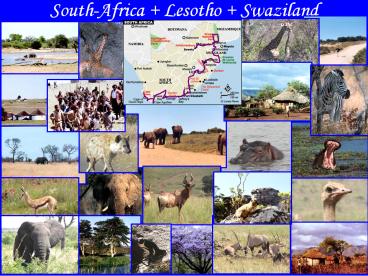 SouthAfrica Lesotho Swaziland