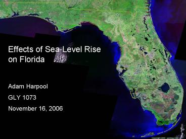 Effects of SeaLevel Rise on Florida
