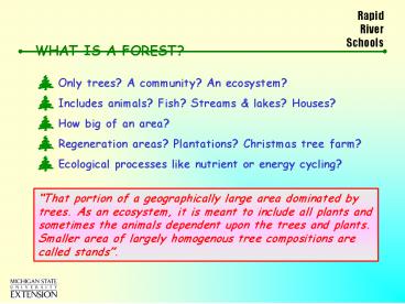 What is a Forest