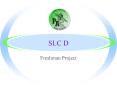 SLC D PowerPoint PPT Presentation