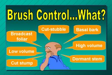 Brush Control using Herbicides is Temporary