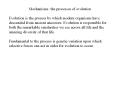 Mechanisms: the processes of evolution PowerPoint PPT Presentation
