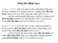 What the Bible Says PowerPoint PPT Presentation