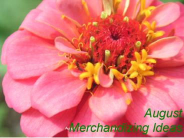 August Merchandizing Ideas