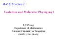 Evolution and Molecular Phylogeny I PowerPoint PPT Presentation