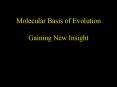 Molecular Basis of Evolution Gaining New Insight PowerPoint PPT Presentation