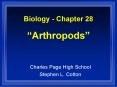 Biology Chapter 28 Arthropods PowerPoint PPT Presentation