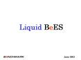 Liquid BeES PowerPoint PPT Presentation