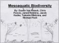 Mesoaquatic Biodiversity PowerPoint PPT Presentation