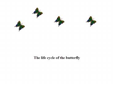 The Life Cycle of a Butterfly