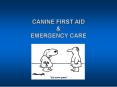 CANINE FIRST AID PowerPoint PPT Presentation