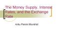 The Money Supply, Interest Rates, and the Exchange Rate