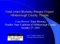 Fetal Infant Mortality Review Project Hillsborough County, Florida PowerPoint PPT Presentation