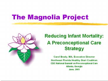 The Magnolia Project
