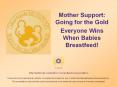 International Lactation Consultant Association PowerPoint PPT Presentation