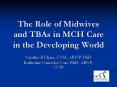 The Role of Midwives and TBAs in MCH Care in the Developing World PowerPoint PPT Presentation
