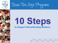10 Steps to Support Breastfeeding Mothers PowerPoint PPT Presentation
