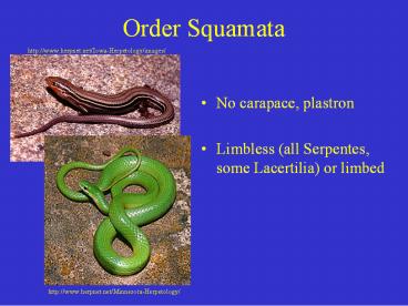 presentation player overlay