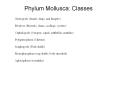 Phylum Mollusca: Classes PowerPoint PPT Presentation