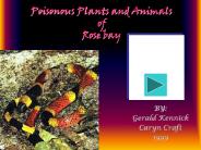 Poisonous Plants and Animals of Rose bay