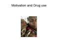 Motivation and Drug use PowerPoint PPT Presentation
