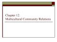 Chapter 12: Multicultural Community Relations PowerPoint PPT Presentation