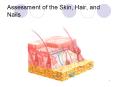 Assessment of the Skin, Hair, and Nails PowerPoint PPT Presentation