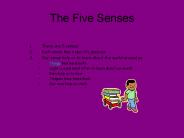 The Five Senses