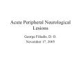 Acute Peripheral Neurological Lesions PowerPoint PPT Presentation