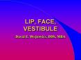 LIP, FACE, VESTIBULE PowerPoint PPT Presentation