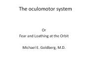 The oculomotor system